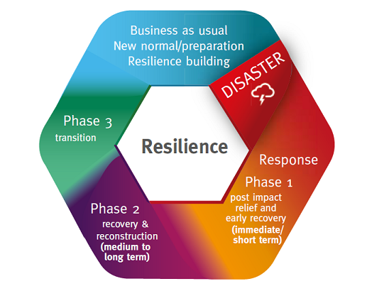 Phases of Recovery Image
