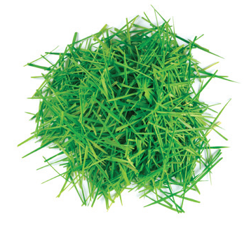 lawn clippings 2