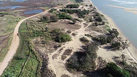 Thumbnail image of dunes at Alva Beach taken 31 August 2020