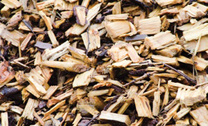 Wood chips are also excellent for reducing weeds. This sort of mulch is usually laid 2.5cm – 5cm deep.