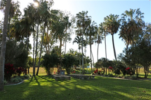 Plantation Park Bush