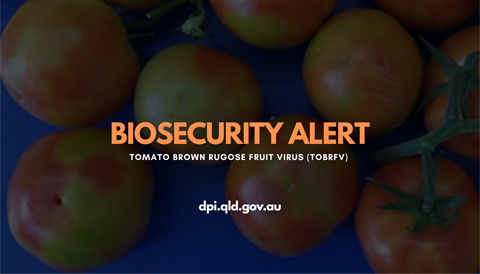 BIOSECURITY ALERT - Website.png