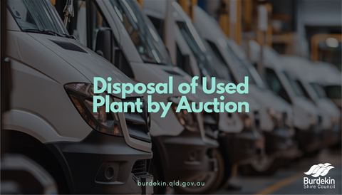 Plant Auction 2.png