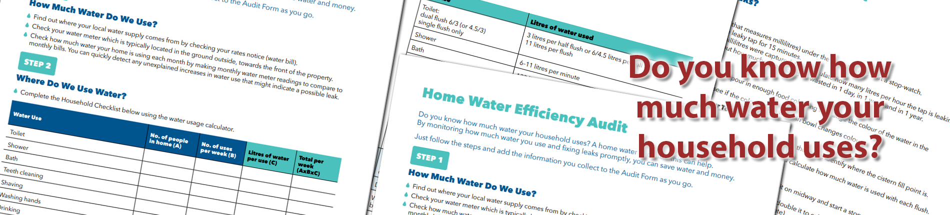 Home water efficiency audit